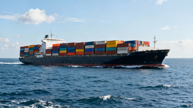 Sea Freight shipping to India from Abu Dhabi by GSC Cargo